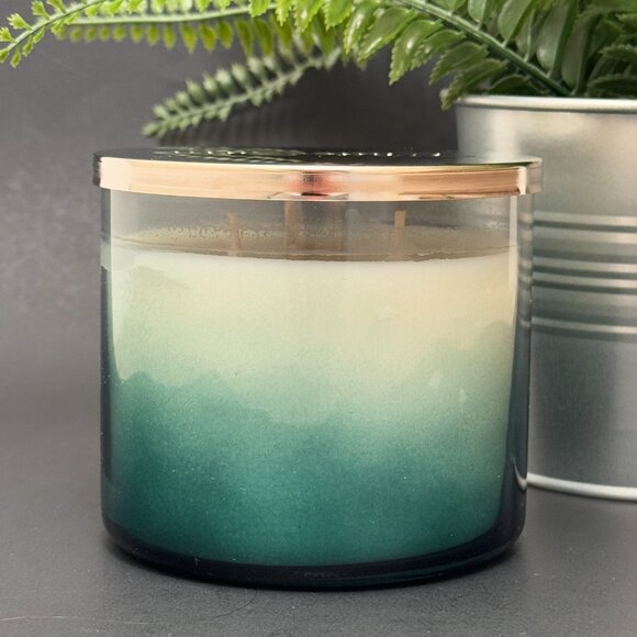 BBW Eucalyptus Rain White Barn Bath & Body Works 3 Wick Candle - Picture 2 of 10